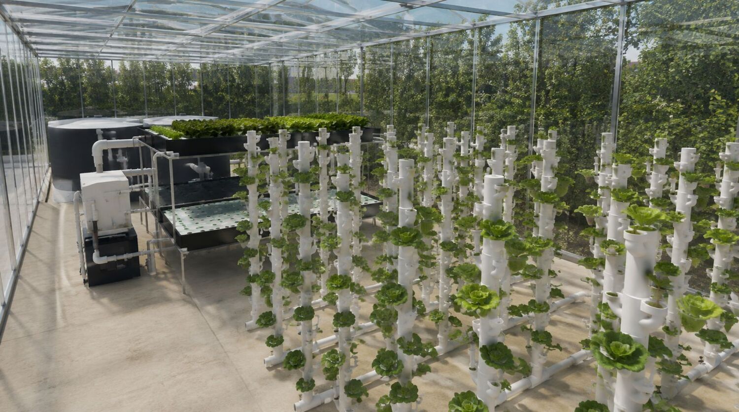 Indoor hydroponic farm with lettuce seedlings